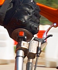 4874_crop.jpg