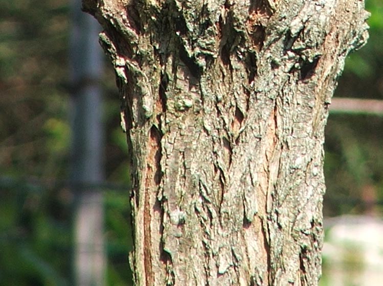 4_5500_crop.jpg