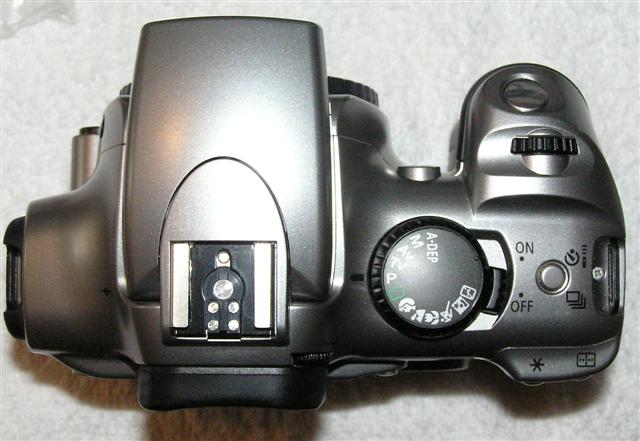 4 (Small).jpg