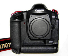 4canon 1D MarkII copia.jpg