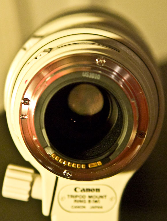 4CEE9577.jpg