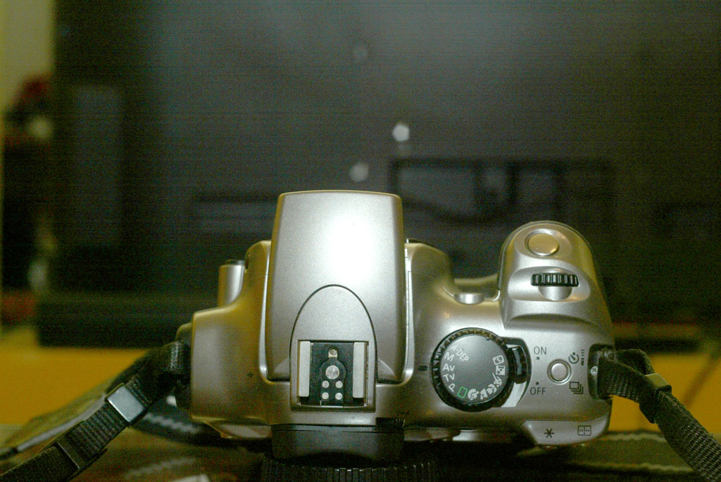 4CEE9736.jpg