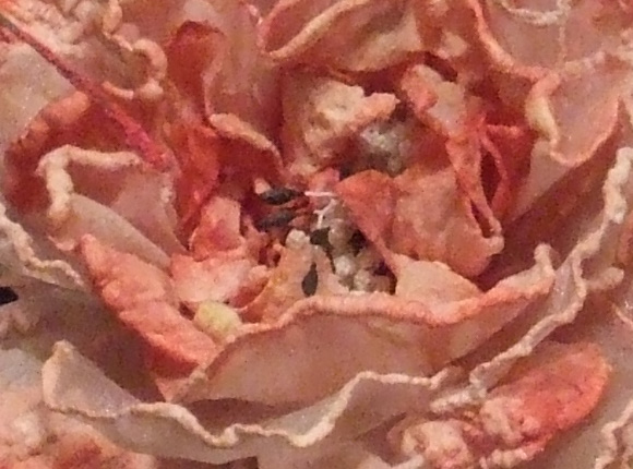 5-800-iso-5600.jpg