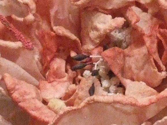 5-800-iso-9600.jpg