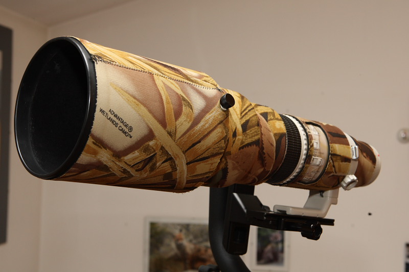 500 f4.5_0001.JPG