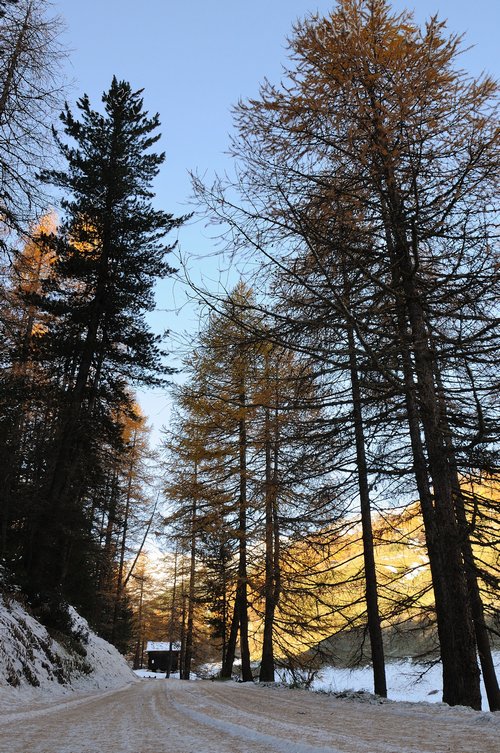 500_Livigno%2022-10-11%20d_02.jpg