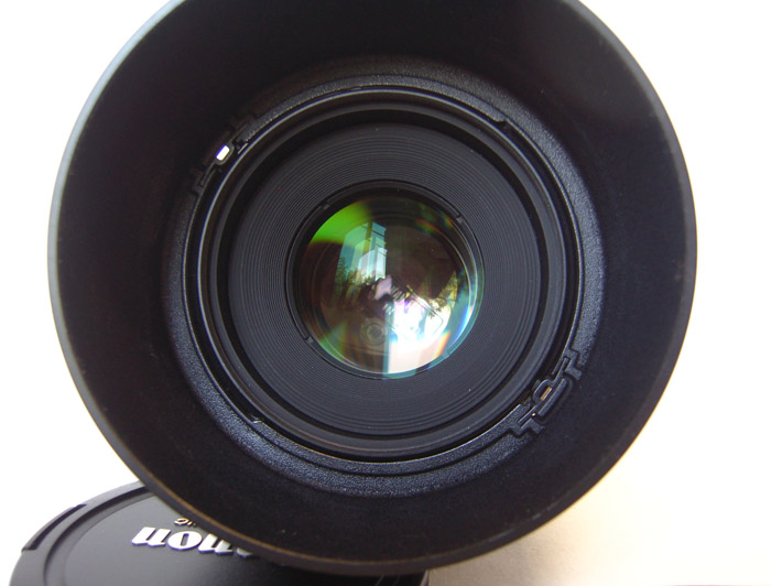 50 D.JPG