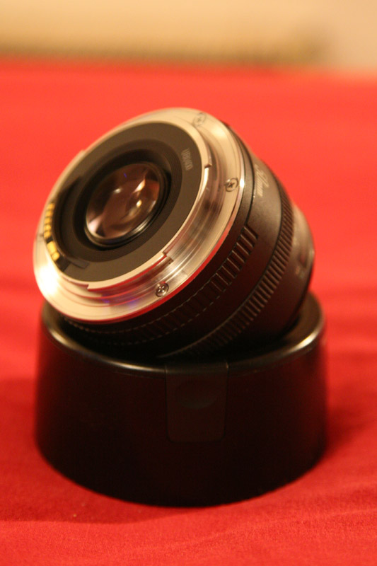 50b.jpg