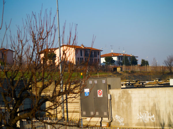 50mm.jpg