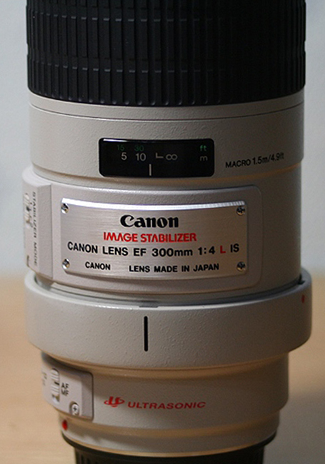 51619532_b057da80b8_o.jpg
