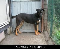 548r3pl.jpg