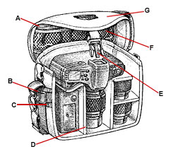 5745la.jpg