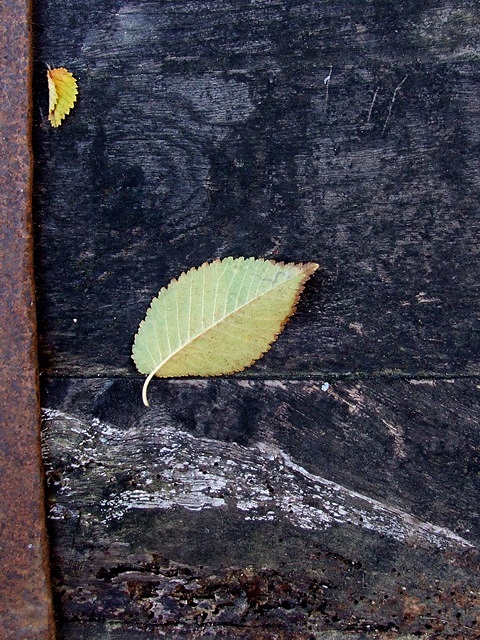 58.jpg