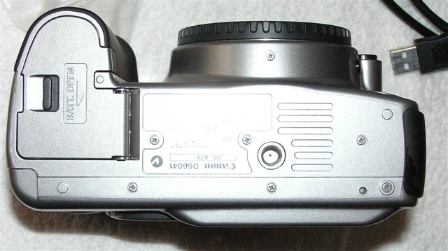 5 (Small).jpg