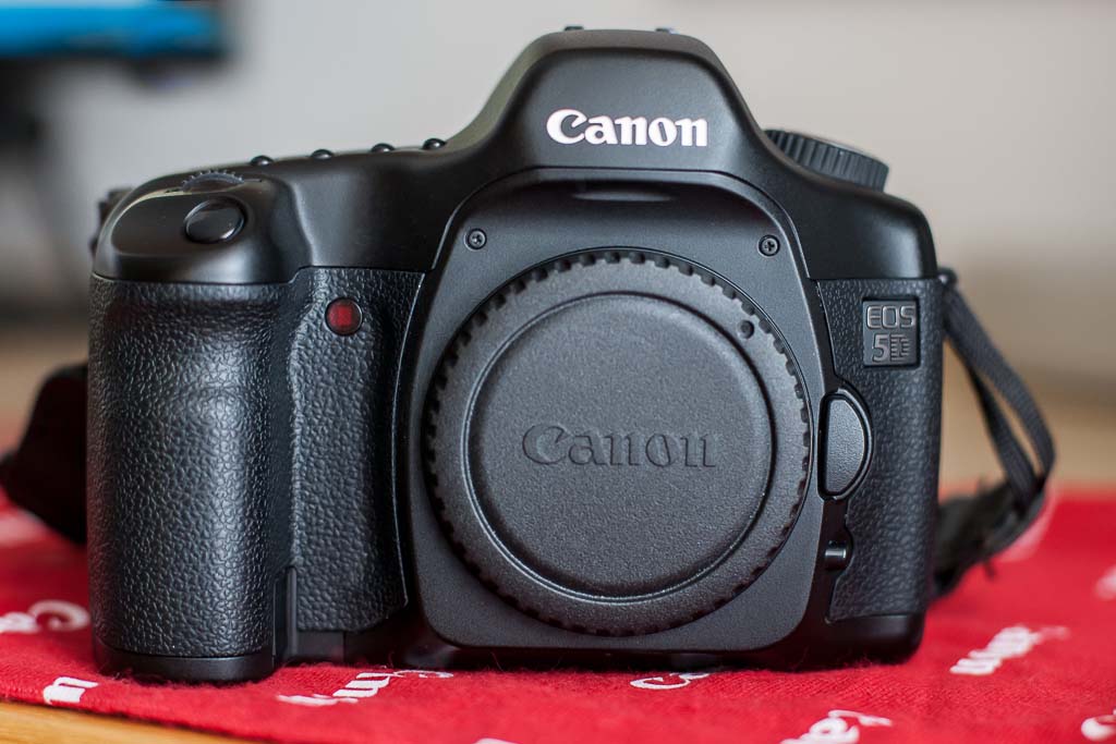 5 D-1.jpg
