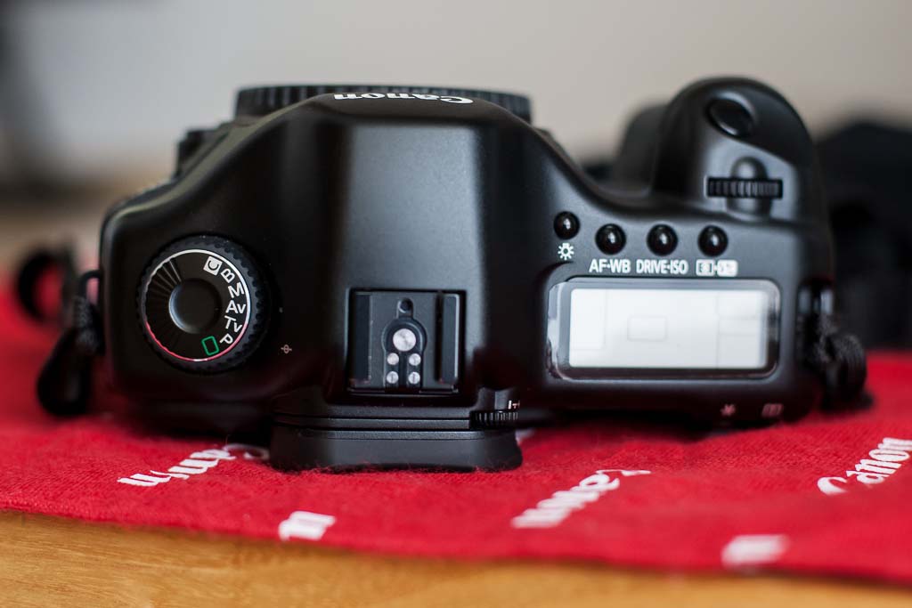 5 D-4.jpg