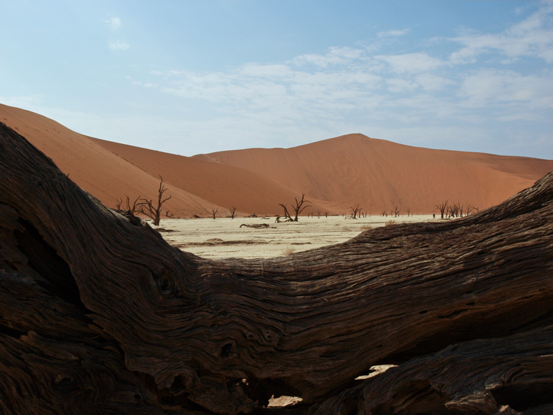 5 Dead-Vlei-woodweb.jpg