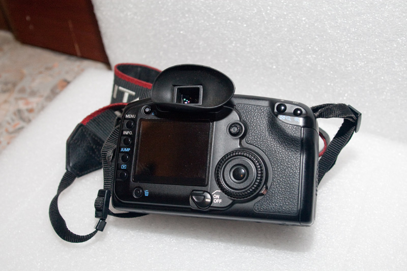 5d-2.jpg