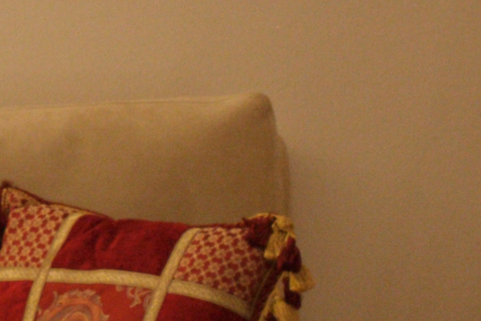 5D_09-01-02_ISO-1600--CROP.jpg