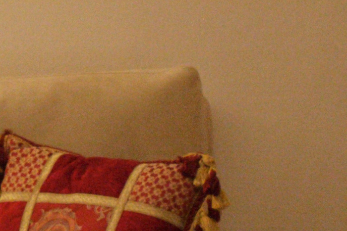 5D_09-01-02_ISO-3200--CROP.jpg