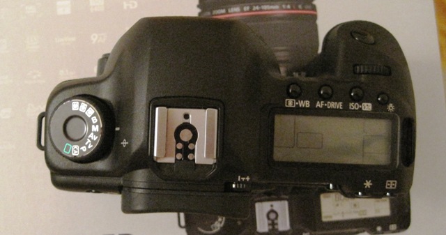 5d_1.jpg