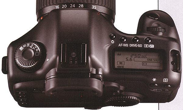 5D.jpg