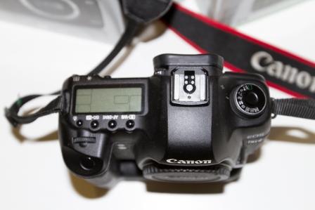5D MarkII-4.jpg