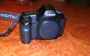 5dxphoto4u.jpg