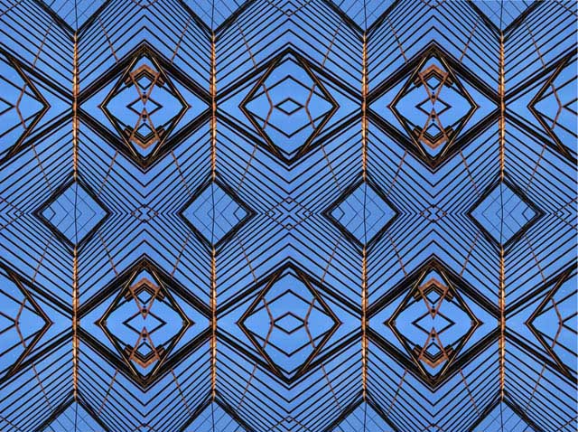 5pic2.jpg