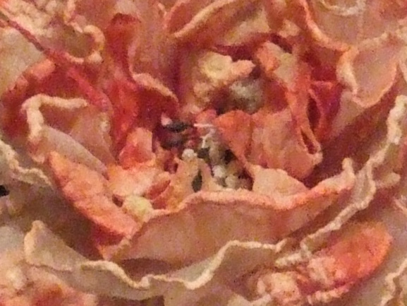 6-1600-iso-5600.jpg