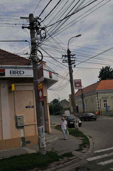 600_DSG1634.jpg