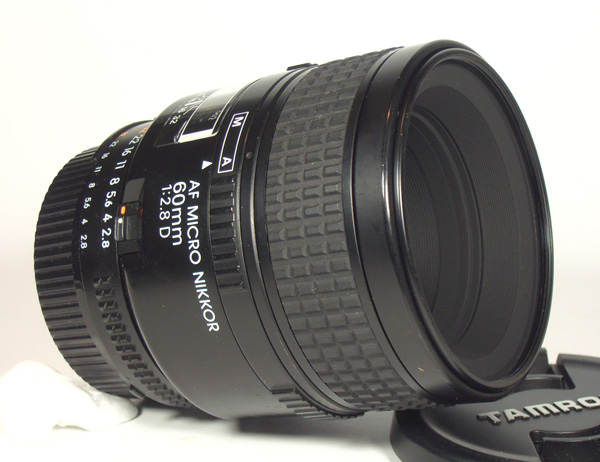 60mm B.JPG