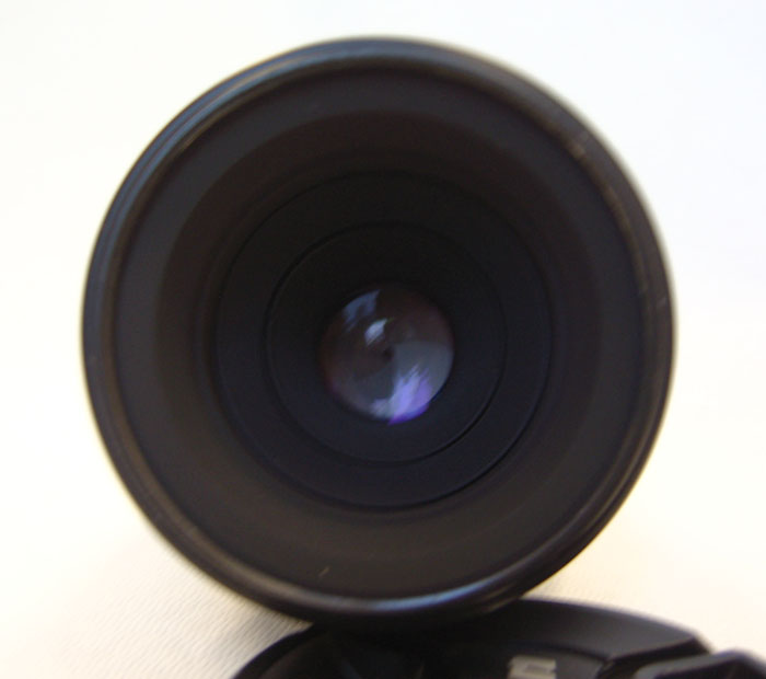 60mm D.JPG