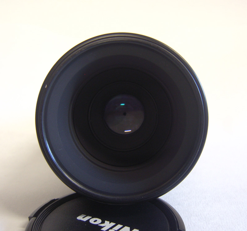 60mm D.JPG