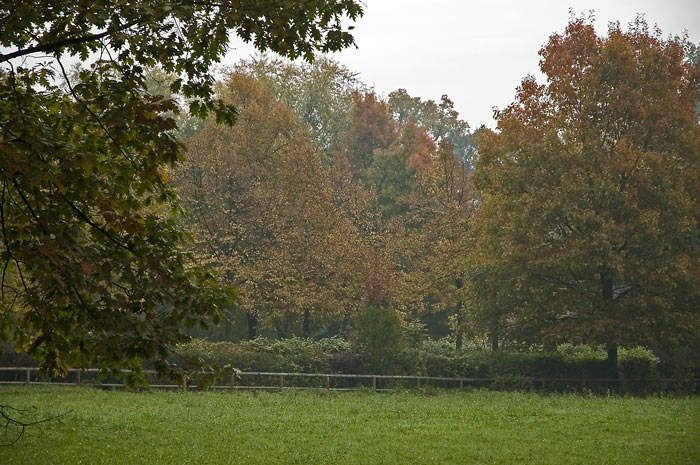 6345-web.jpg