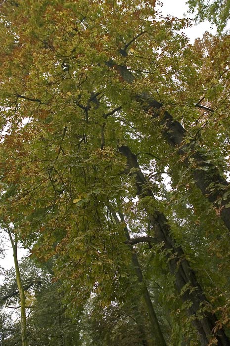 6355-web.jpg