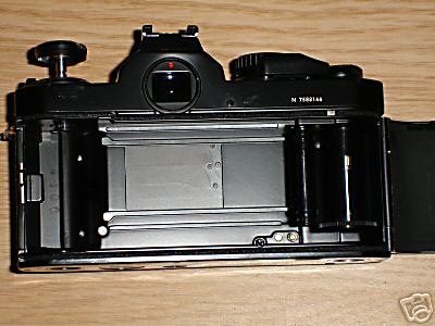 67_1.jpg