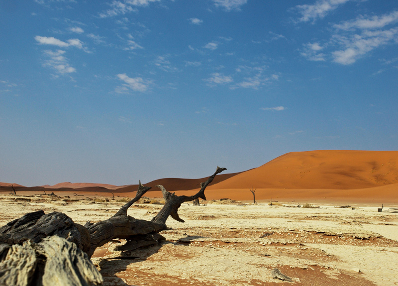 6 b Dead-Vlei-downweb.jpg