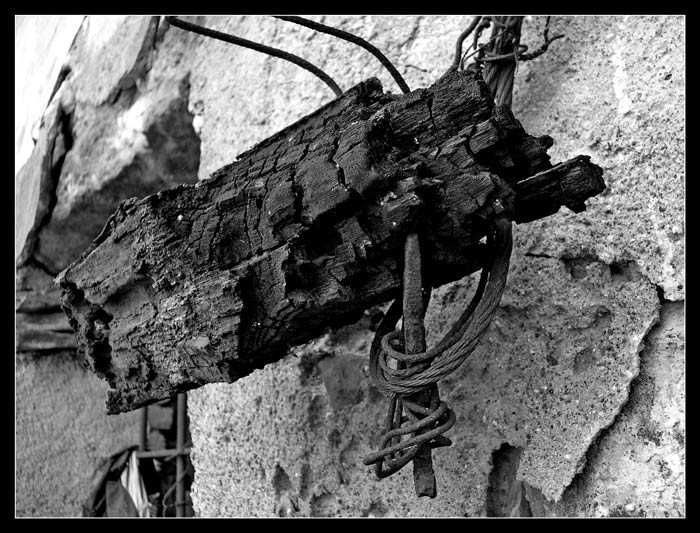 6_legno-bruciato.jpg