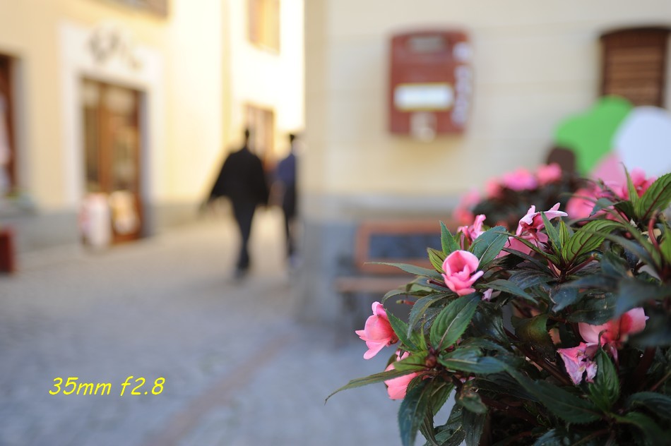 700_4208.jpg