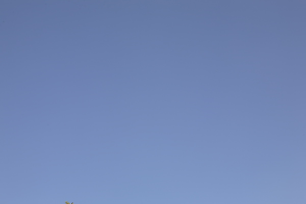 70_200_70mm_f11.JPG