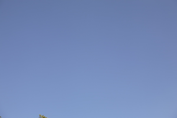 70_200_70mm_f7,1.JPG
