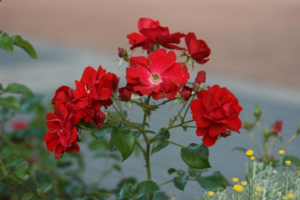 70+ Converter f4.jpg