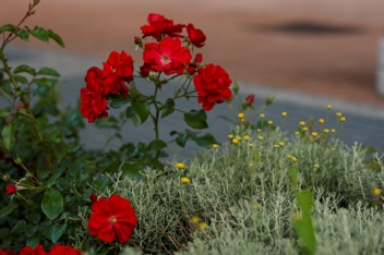 70 f 2.8.jpg