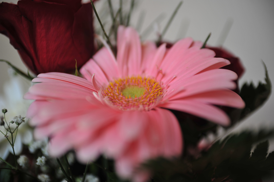 70macro2.8.jpg