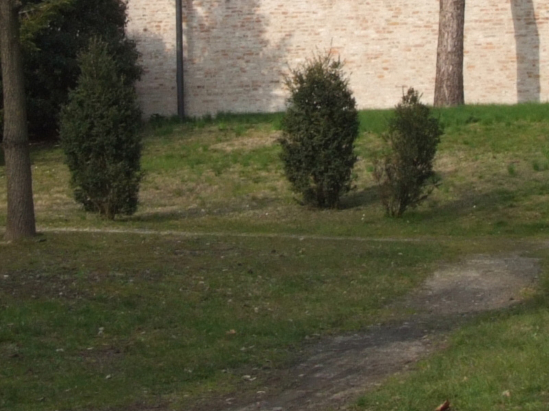 7119_centro_erba.jpg