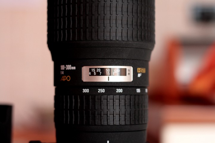 720_1005128_Sigma 100-300f4.jpg