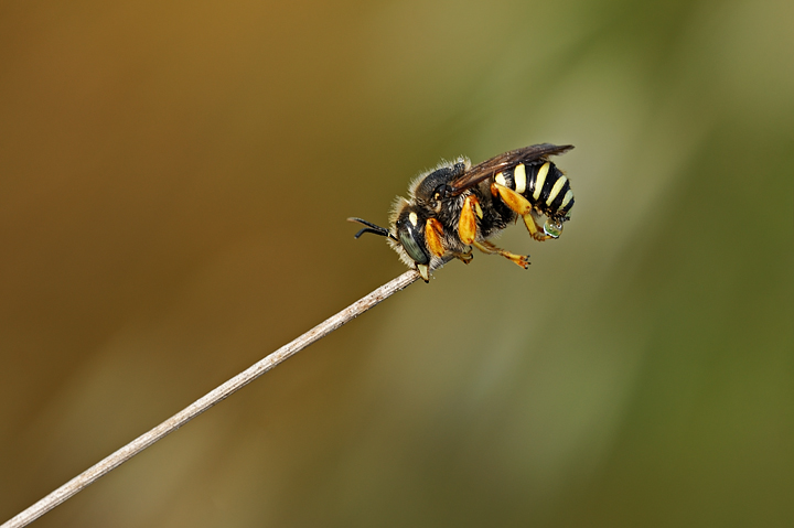 720w_DSC_7792.jpg