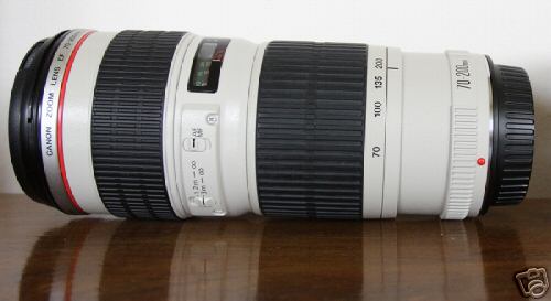 7447_12.jpg