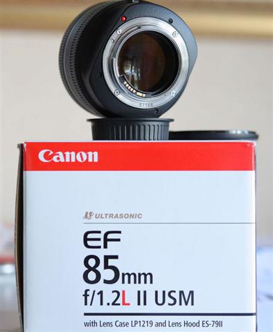 7 (Small).jpg
